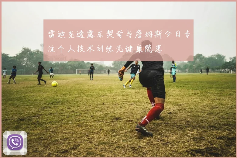 雷迪克透露东契奇与詹姆斯今日专注个人技术训练无健康隐患